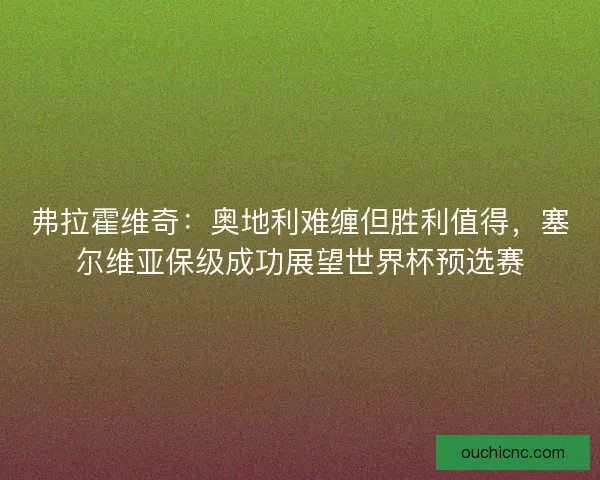 弗拉霍维奇：奥地利难缠但胜利值得，塞尔维亚保级成功展望世界杯预选赛